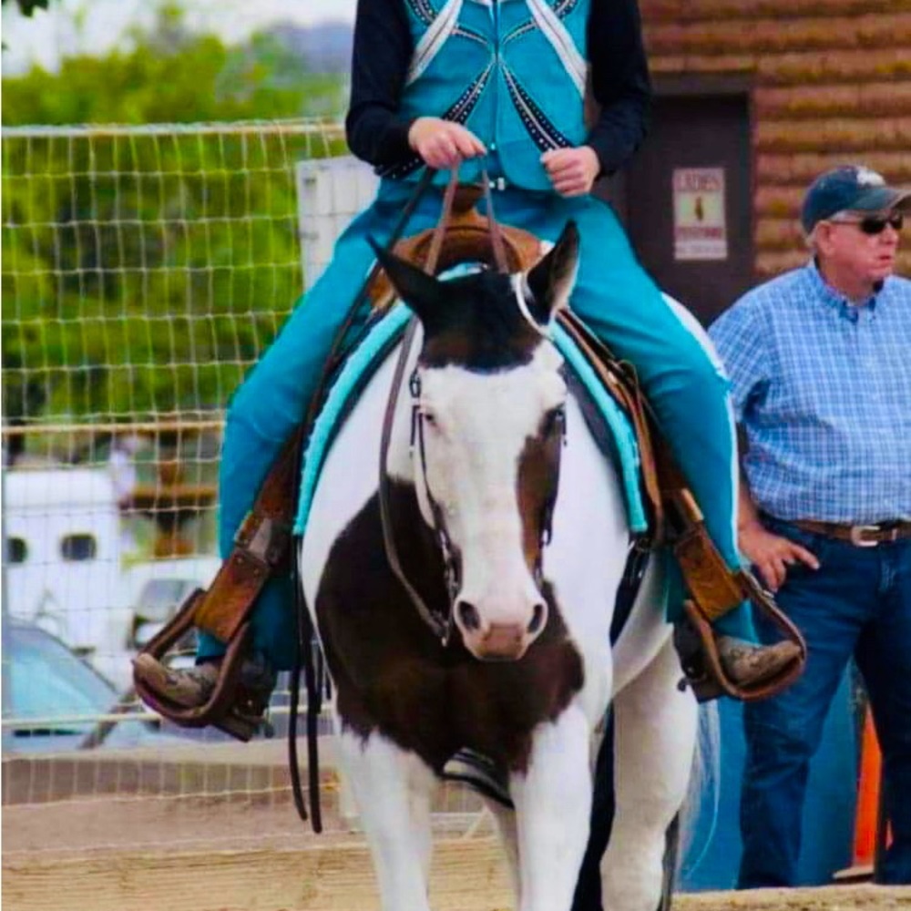 Youth Berry Fit Horse Show Outfit